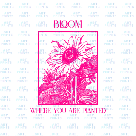 Bloom where you are planted (DTF Transfer Design – Printable Digital File for T-Shirts & Apparel)